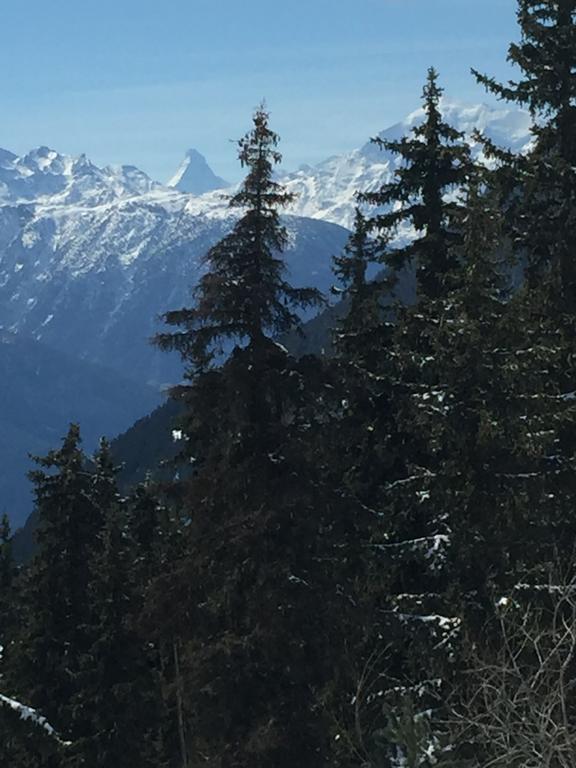 Ferienwohnung Haus Brunnen  Riederalp Exterior foto